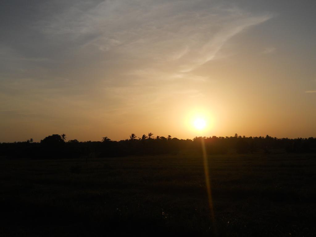 Sunset Tourist Home Polonnaruva Kültér fotó